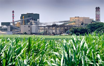 Food and Agricultural Industry,